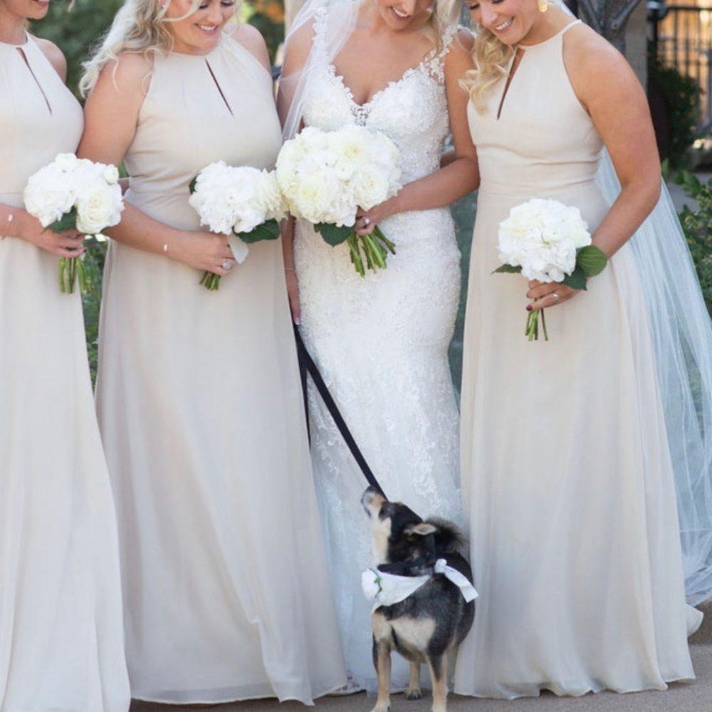 Bella Bridesmaids Champagne Dress